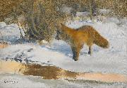 bruno liljefors Winter Landscape with a Fox oil painting artist